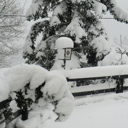 Hotel Zum Schneekopf "Garni" Gehlberg エクステリア 写真