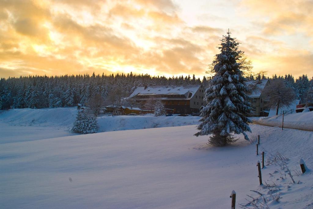 Hotel Zum Schneekopf "Garni" Gehlberg エクステリア 写真