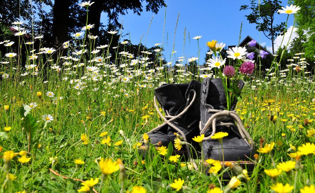 Hotel Zum Schneekopf "Garni" Gehlberg エクステリア 写真