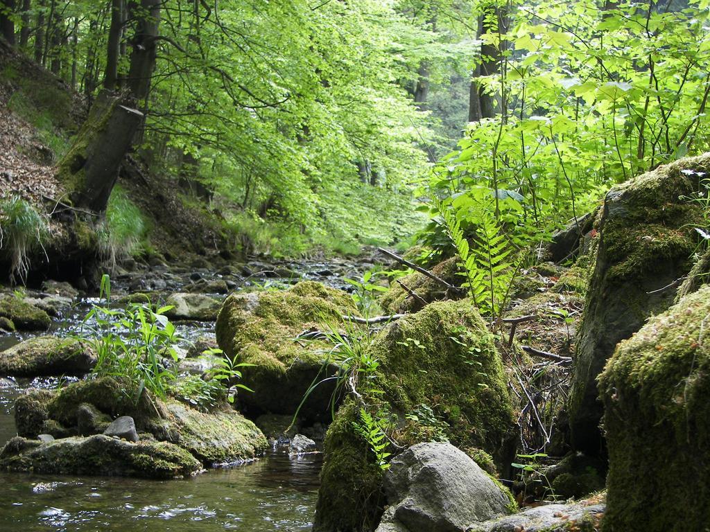 Hotel Zum Schneekopf "Garni" Gehlberg エクステリア 写真